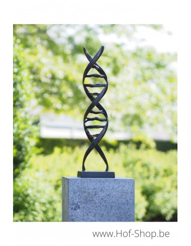 DNA sculptuur - bronzen beeld (AN2734BRW-BI)