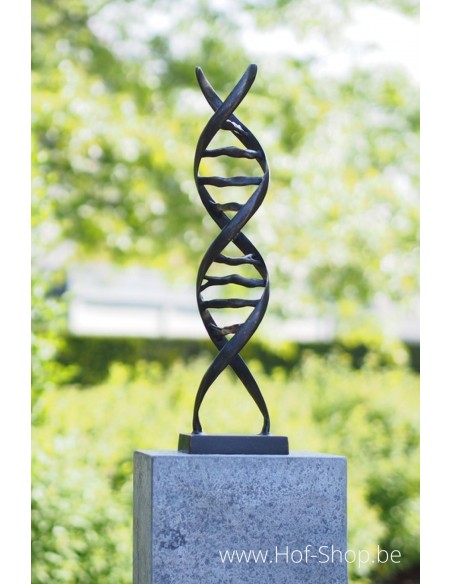 DNA sculptuur - bronzen beeld (AN2734BRW-BI)