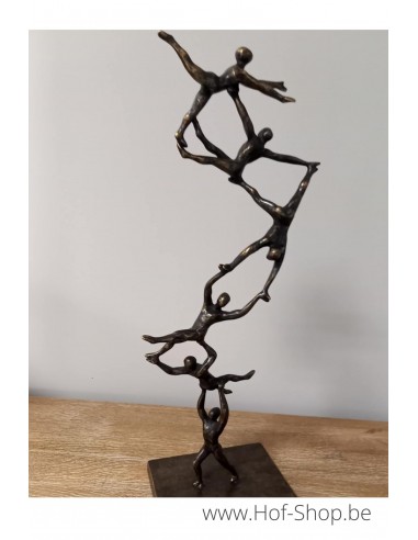 Spiraling to the top - bronzen beeld (AN2887BR-BI)