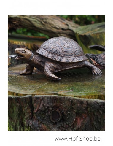Tortue - statue en bronze (AN3392BR-B-F)