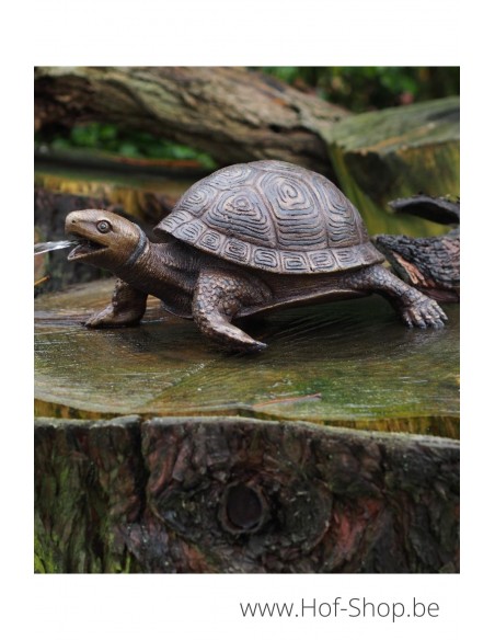 Tortue - statue en bronze (AN3392BR-B-F)