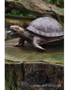 Schildpad - bronzen beeld (AN3392BR-B-F)