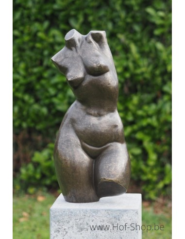 Bronzen vrouwen buste groot - bronzen beeld (AN3551BR-BI)