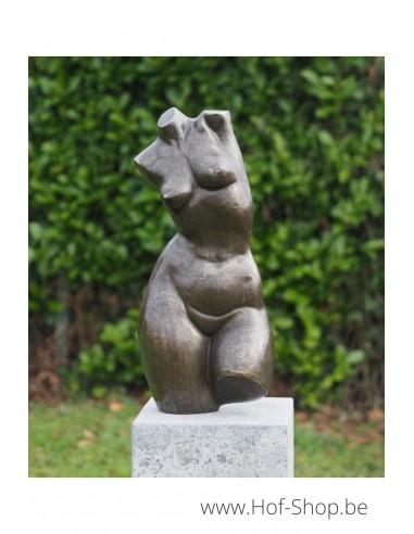 Bronzen vrouwen buste groot - bronzen beeld (AN3551BR-BI)