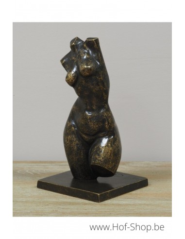 Buste féminin moderne petit - statue en bronze (AN3552BR-BI)