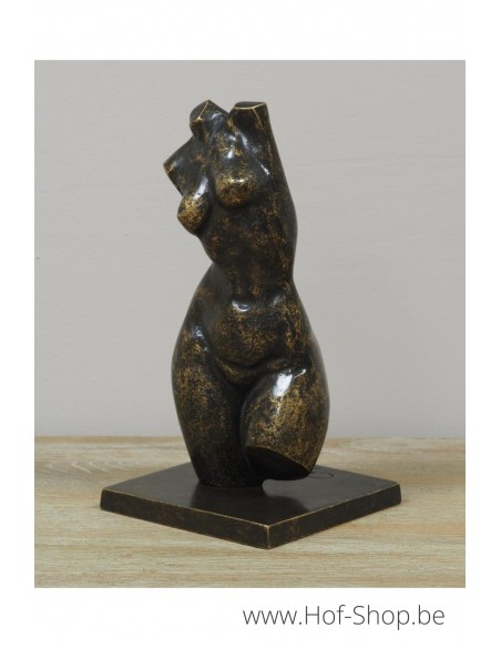 Buste féminin moderne petit - statue en bronze (AN3552BR-BI)