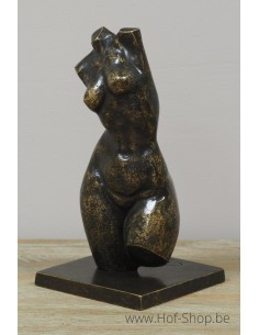Buste féminin moderne petit - statue en bronze (AN3552BR-BI)