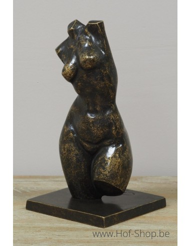 Buste féminin moderne petit - statue en bronze (AN3552BR-BI)