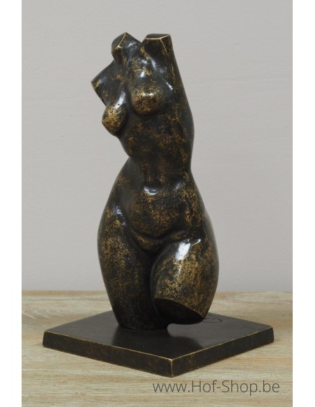 Bronzen vrouwen buste klein - bronzen beeld (AN3552BR-BI)