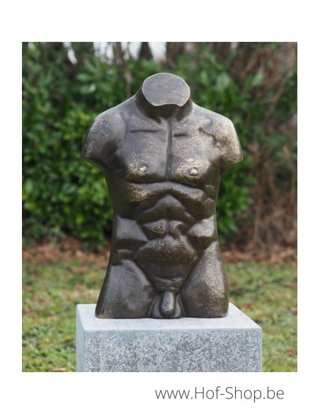 Bronzen mannen buste groot - bronzen beeld (AN3553BR-BI)