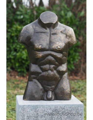 Buste d'hommes en bronze en grand - statue en bronze (AN3553BR-BI)