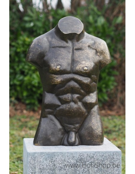 Buste d'hommes en bronze en grand - statue en bronze (AN3553BR-BI)