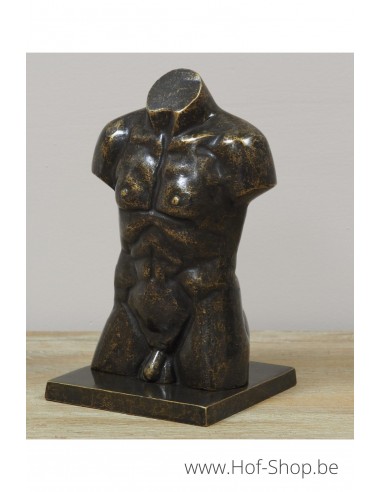 Buste d'hommes en bronze en petit - statue en bronze (AN3554BR-BI)