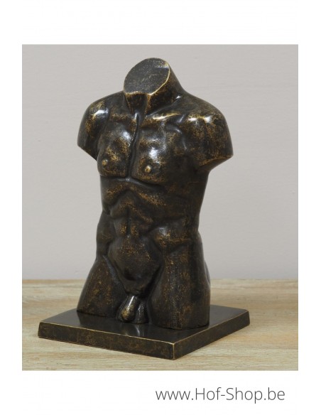 Buste d'hommes en bronze en petit - statue en bronze (AN3554BR-BI)
