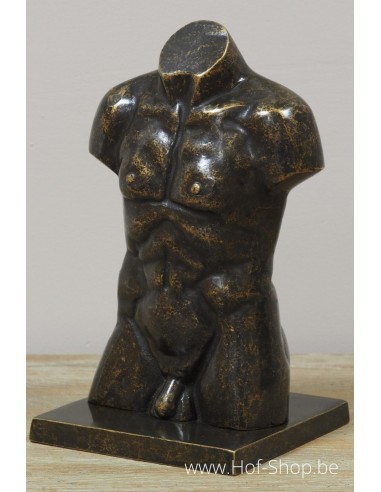 Buste d'hommes en bronze en petit - statue en bronze (AN3554BR-BI)