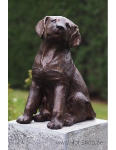Hondje - bronzen beeld (AN4731BR-B)