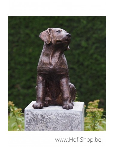 Chien - statue en bronze (AN4731BR-B)