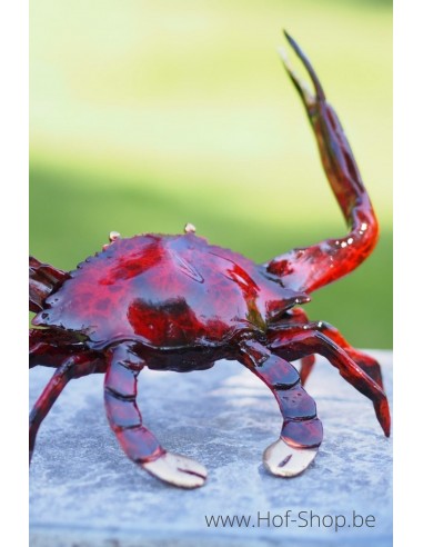 Crabe rouge - statue en bronze (AN2677BR-VI)