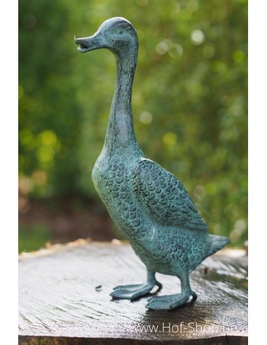 Canard à long cou en bronze - statue en bronze (AN5390V)