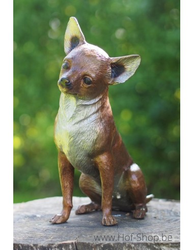 Chihuahua - statue en bronze (AN9158BR-B)