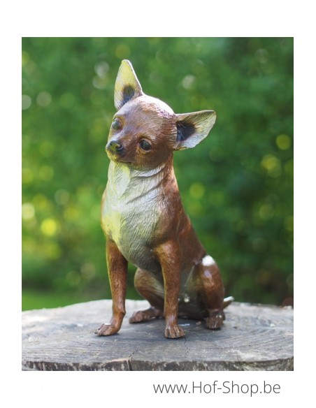 Chihuahua - bronzen beeld (AN9158BR-B)