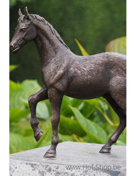 Cheval - sculpture en bronze (BS1355B)