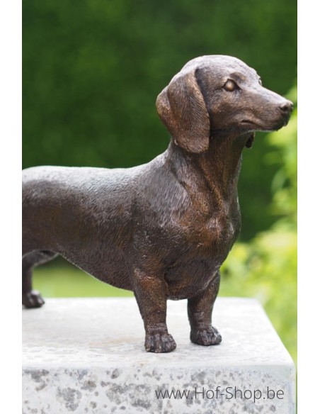 Teckel - statue en bronze (BS1387B)