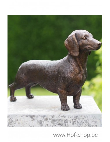Teckel - statue en bronze (BS1387B)