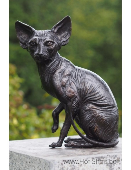 Chat sans poils assis - statue en bronze (BS1418B)