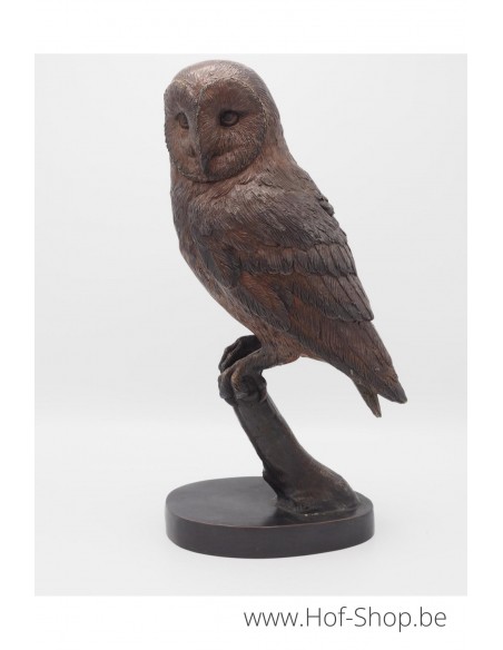 Uil op tak - bronzen beeld (BS1428B)