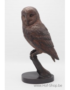 Uil op tak - bronzen beeld (BS1428B)