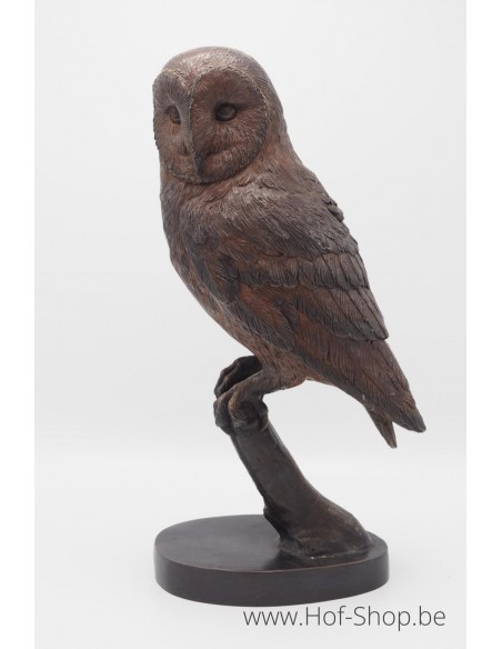 Uil op tak - bronzen beeld (BS1428B)