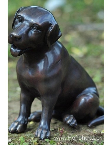 Petit labrador - statue en bronze (GA0678BR-B)