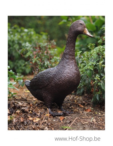 Canard debout  - statue en bronze (AN1115BR-B)