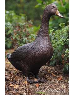 Canard debout  - statue en bronze (AN1115BR-B)