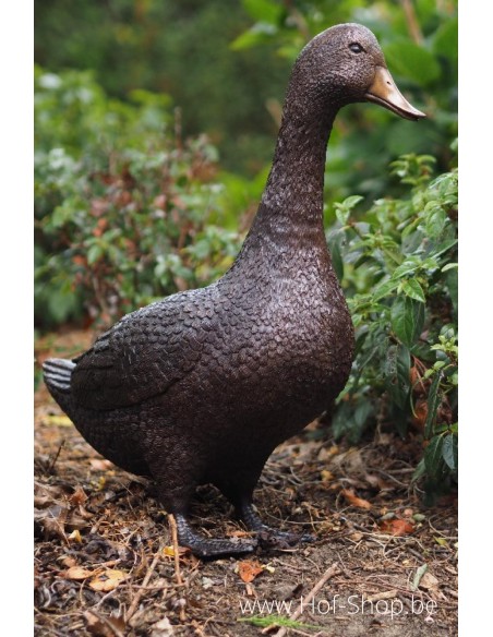 Canard debout  - statue en bronze (AN1115BR-B)