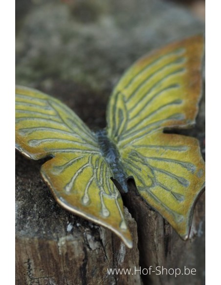 Vlinder hot patina geel - bronzen beeld (HW1824BRW-HP)