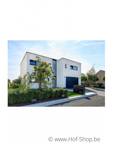 Maxus Single 1400 mét pakketdeur - eSafe pakketbus aluminium