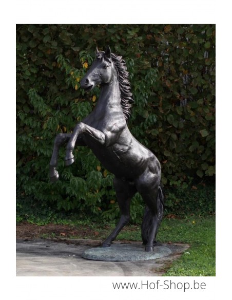 Steigerend paard - bronzen beeld (B910R)