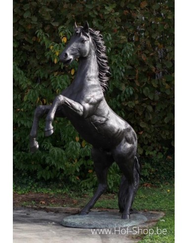 Steigerend paard - bronzen beeld (B910R)