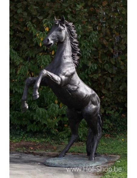 Cheval d'élevage - sculpture en bronze (B910R)