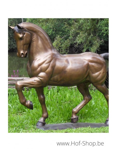 Cheval - sculpture en bronze (B1047)