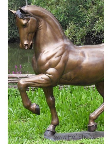 Cheval - sculpture en bronze (B1047)