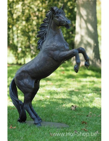 Cheval d'élevage - sculpture en bronze (B1096)