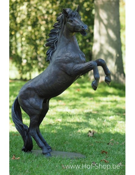 Steigerend paard - bronzen beeld (B1096)