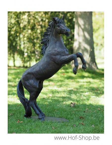 Steigerend paard - bronzen beeld (B1096)