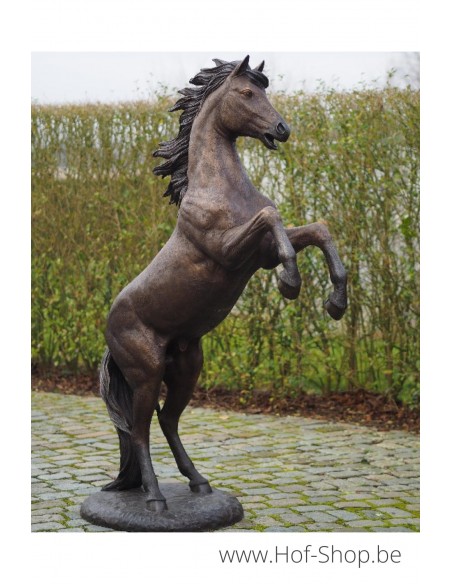 Steigerend paard - bronzen beeld (B1109R)