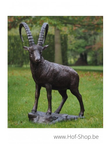Staande steenbok - bronzen beeld (B1276)