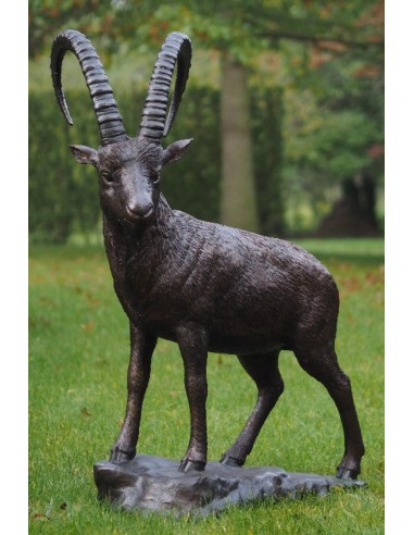 Staande steenbok - bronzen beeld (B1276)