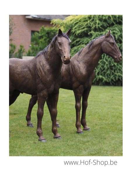 Koppel paarden - bronzen beeld (B1309)